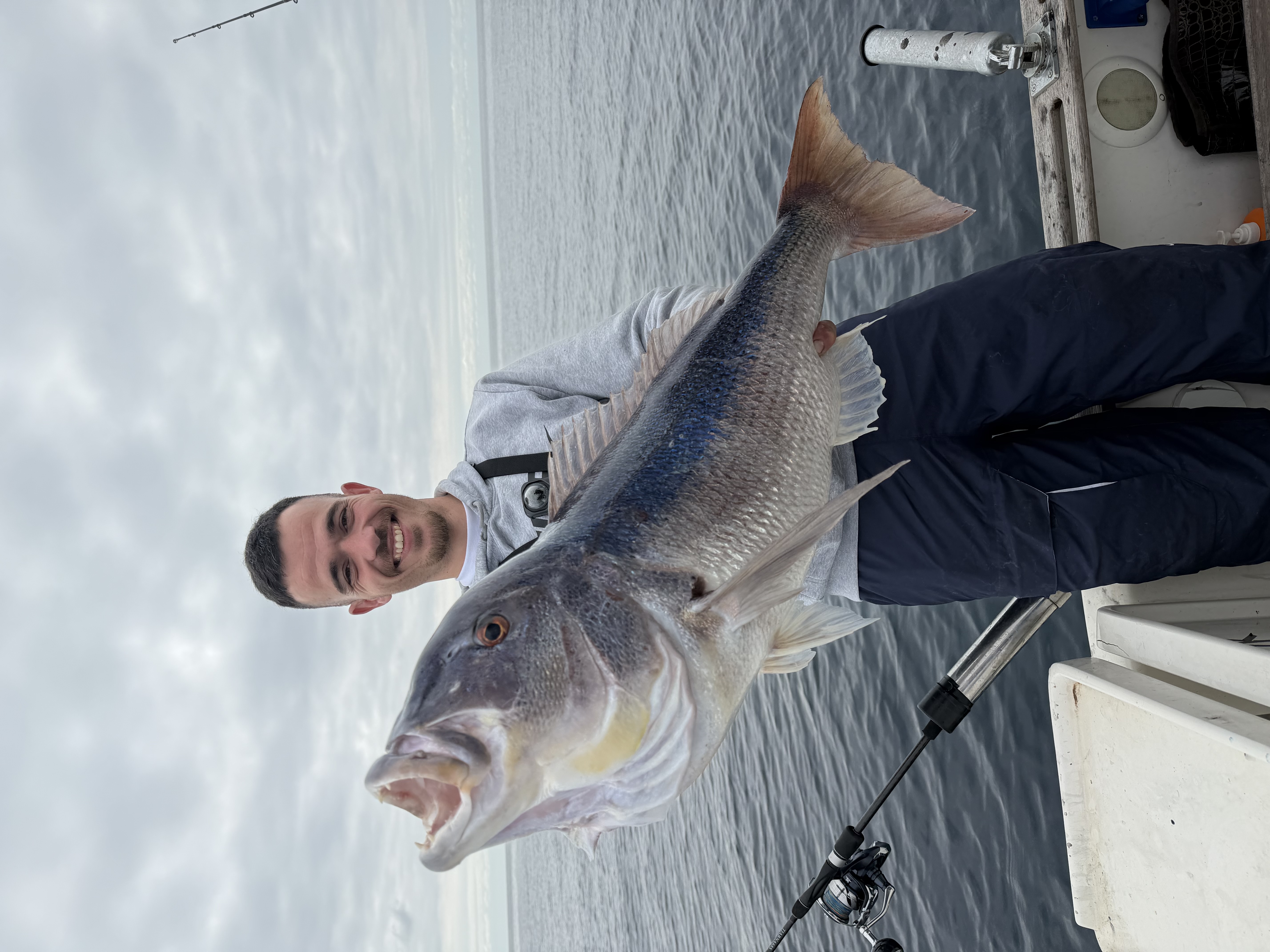 Pesca en Almerimar